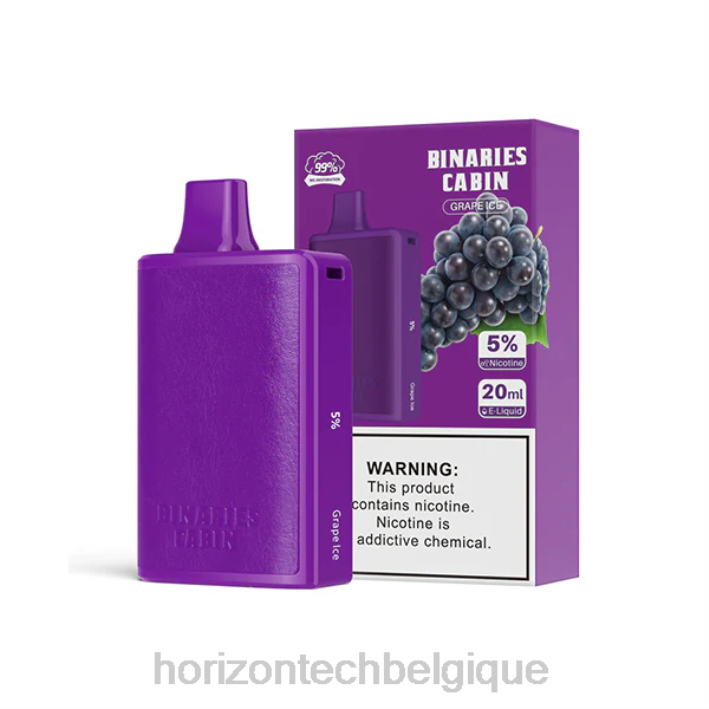 HorizonTech Binaries Cabin jetable 20ml glace aux raisins 66D255 | Horizon Tech Vape Coils