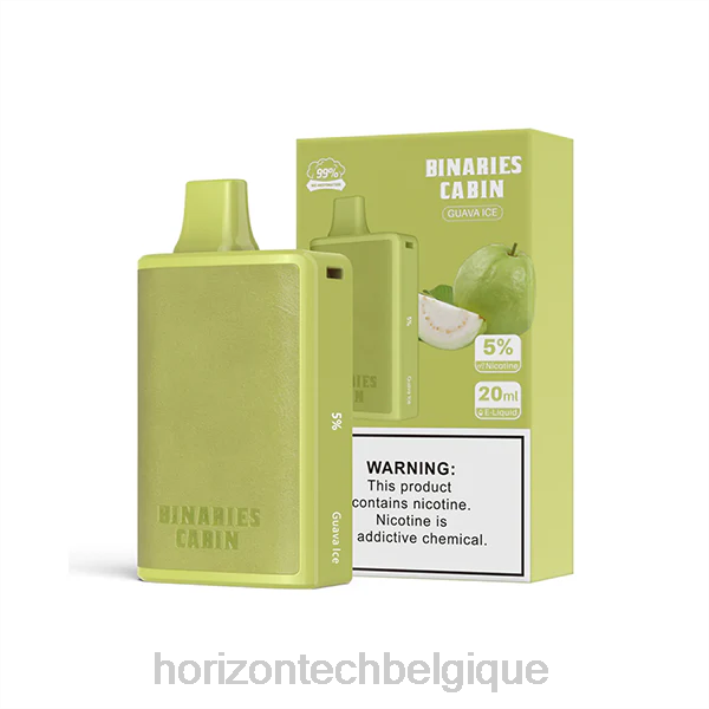 HorizonTech Binaries Cabin jetable 20ml glace à la goyave 66D258 | Horizontech Vape Kit