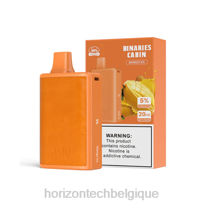 HorizonTech Binaries Cabin jetable 20ml glace à la mangue 66D261 | Horizontech Belgique