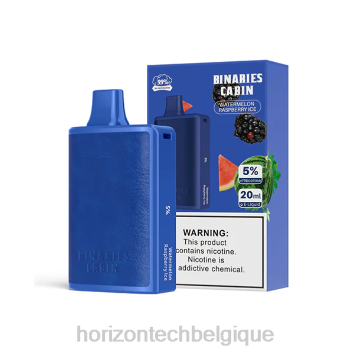HorizonTech Binaries Cabin jetable 20ml glace à la pastèque et à la framboise 66D271 | Horizontech Belgique